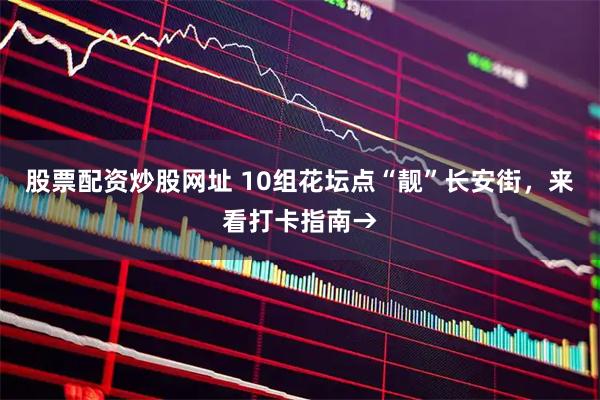 股票配资炒股网址 10组花坛点“靓”长安街，来看打卡指南→