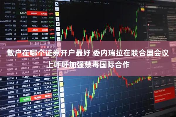 散户在哪个证券开户最好 委内瑞拉在联合国会议上呼吁加强禁毒国际合作